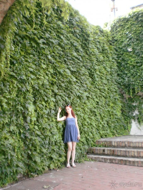 Прогулка по Петроварадину