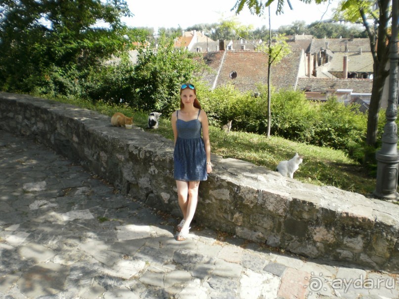 Прогулка по Петроварадину