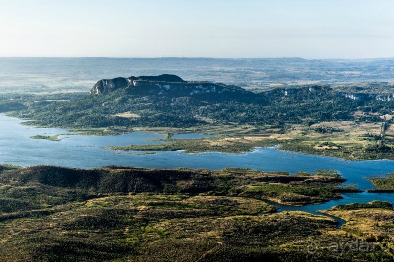 фото Артемисы
