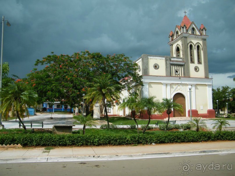 фото Артемисы