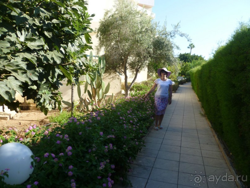 хороший отель рядом с морем