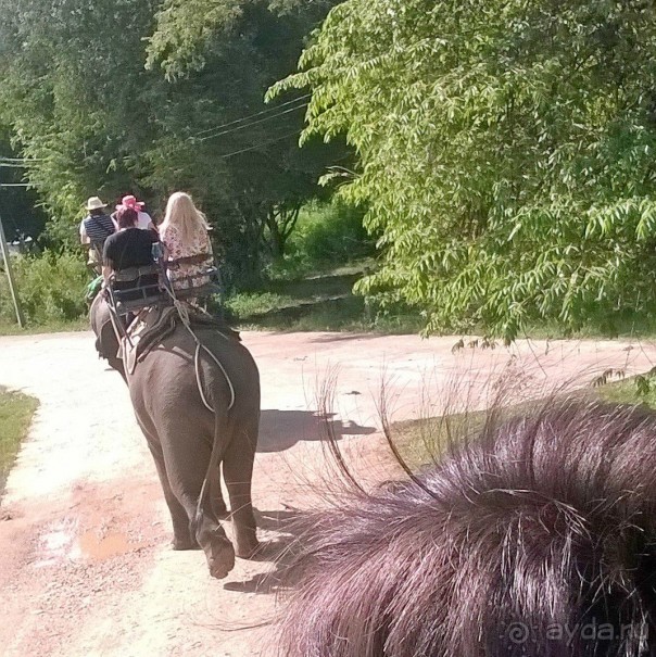 Отдых в Амбрасадор