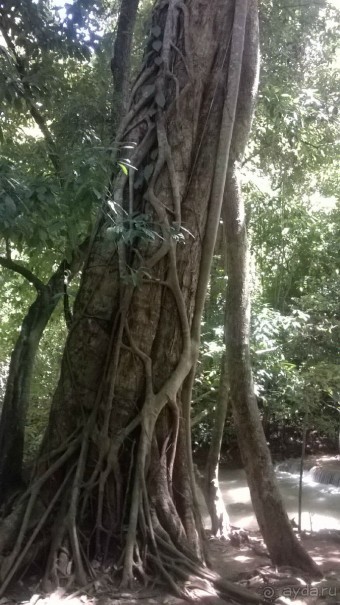 Отдых в Амбрасадор