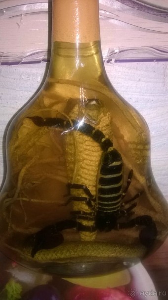 Отдых в Амбрасадор