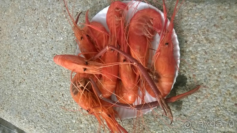 Отдых в Амбрасадор