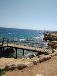 фото Grand Halomy Resort
