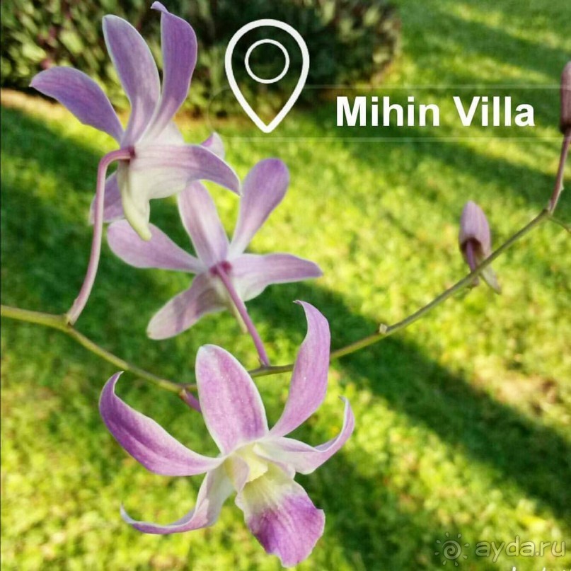 Mihin Villa Bentota