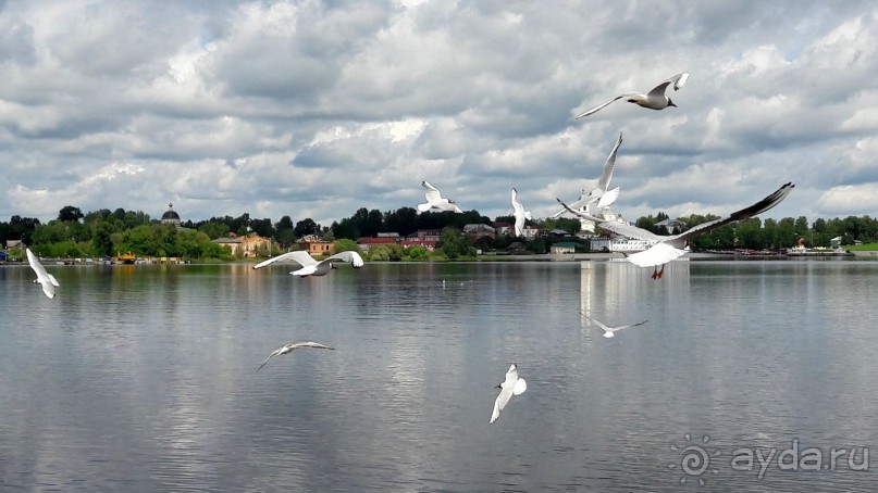 Паромная переправа Углич-Мышкин.