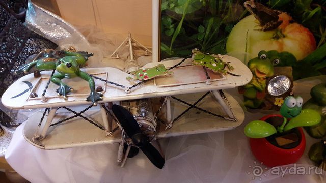 Музей лягушки в Дмитрове.