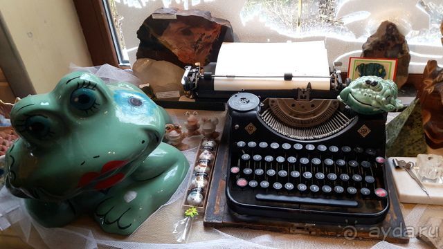 Музей лягушки в Дмитрове.