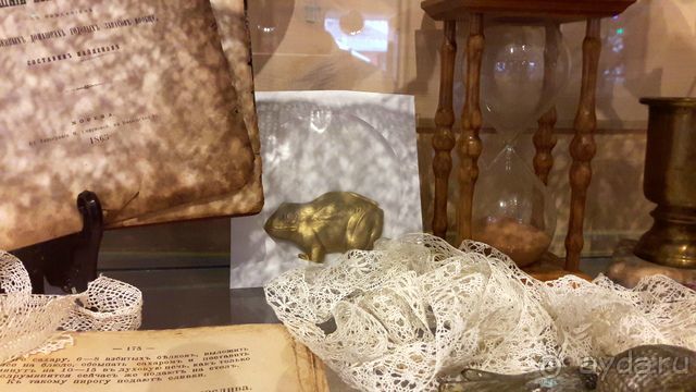 Музей лягушки в Дмитрове.