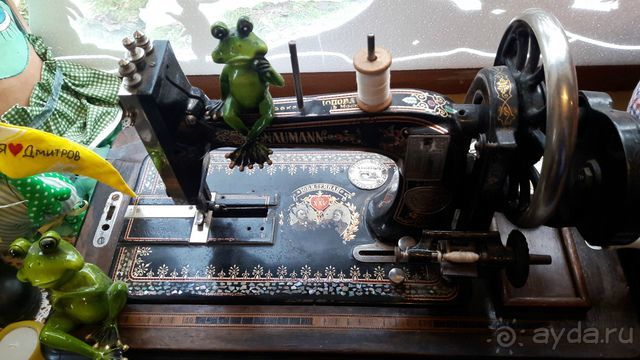 Музей лягушки в Дмитрове.