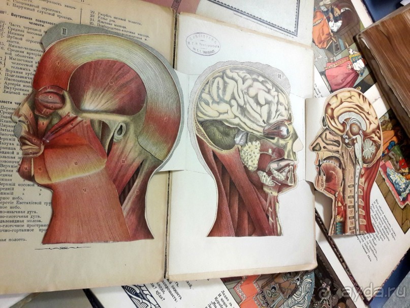 Главное книжное хранилище страны.