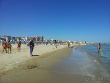 Хорошая трешка рядом с морем