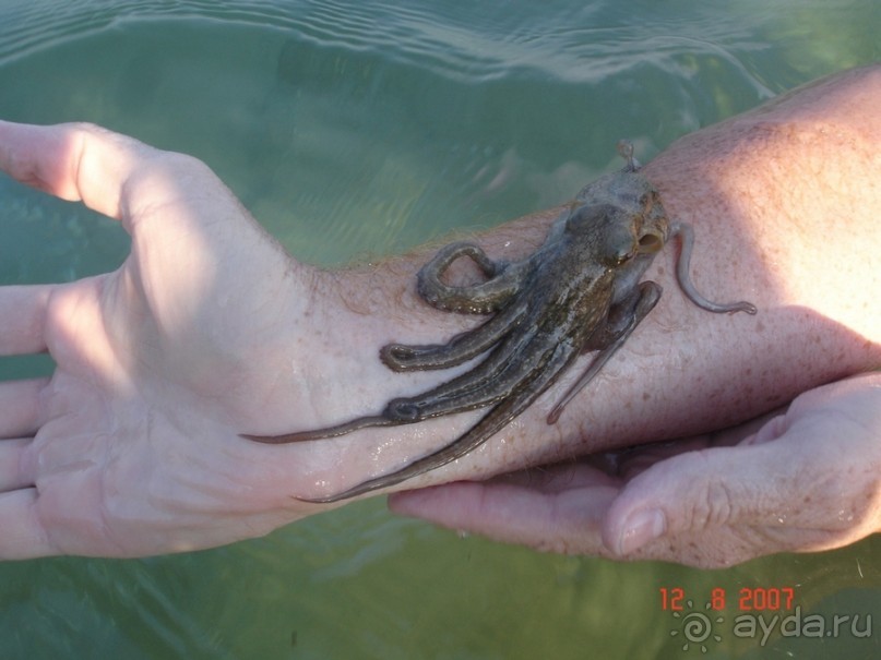 Путешествие по Криту. Греция.