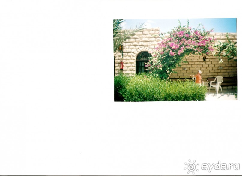 фото Jasmine Village