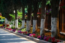 Инфраструктура пансионата "НЕВА"