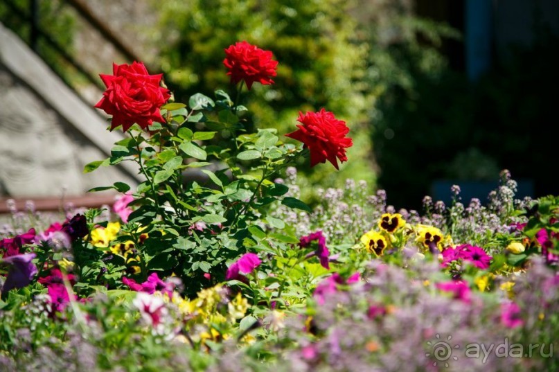 Инфраструктура пансионата "НЕВА"