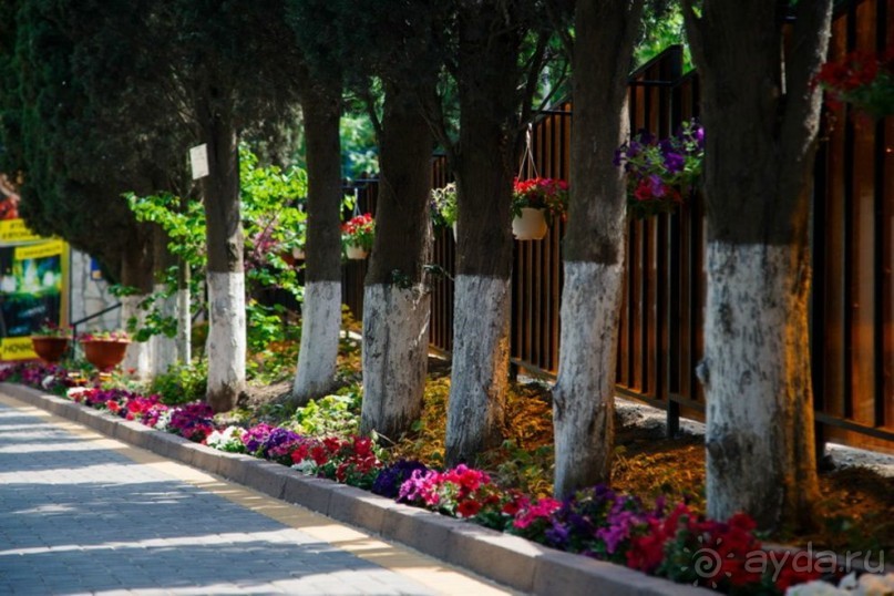 Инфраструктура пансионата "НЕВА"