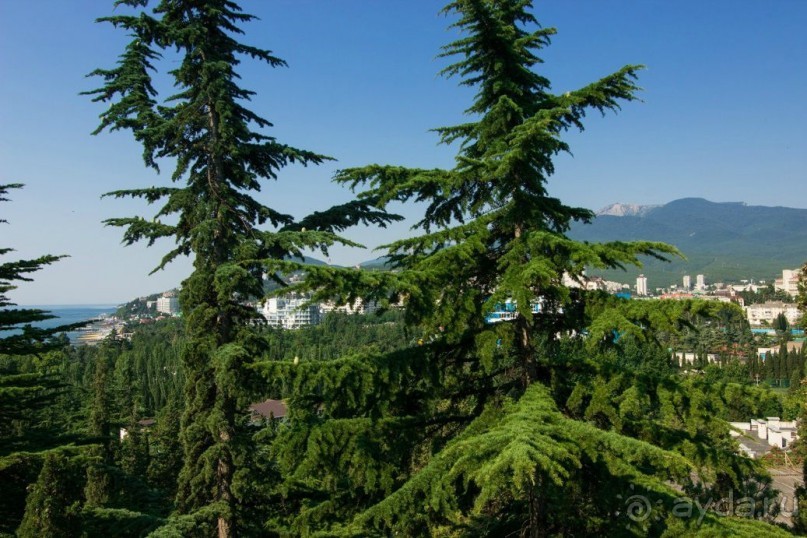 Инфраструктура пансионата "НЕВА"