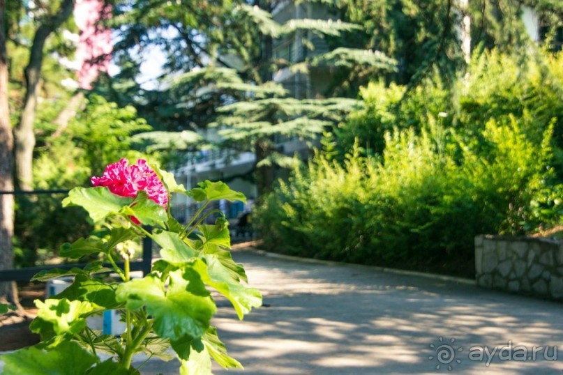 Инфраструктура пансионата "НЕВА"