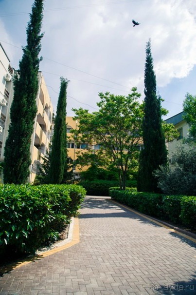 фото Алушты