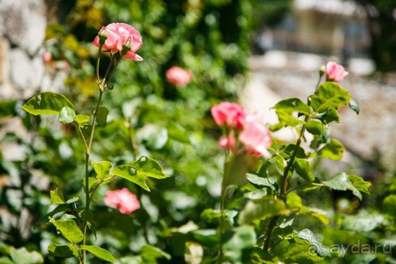 Инфраструктура пансионата "НЕВА"