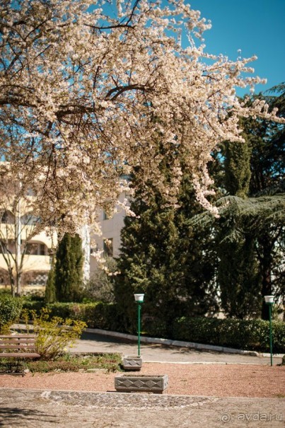 фото Алушты