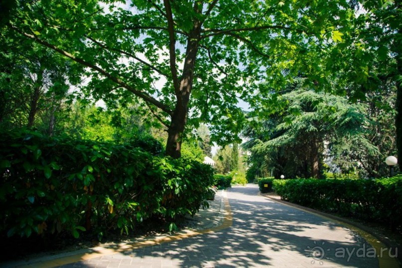 Инфраструктура пансионата "НЕВА"