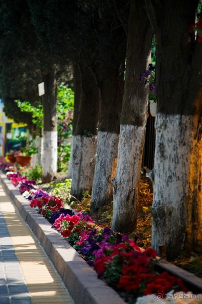 Инфраструктура пансионата "НЕВА"