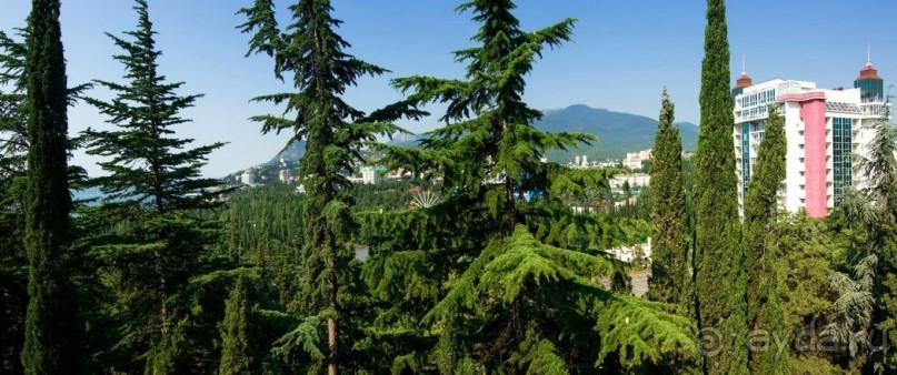 Инфраструктура пансионата "НЕВА"