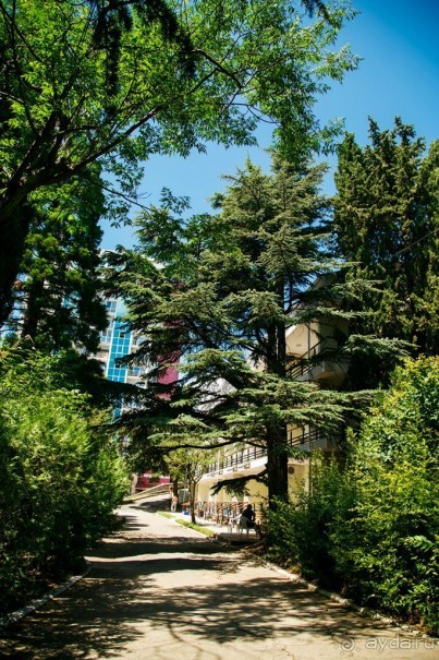 фото Алушты