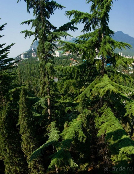 Инфраструктура пансионата "НЕВА"