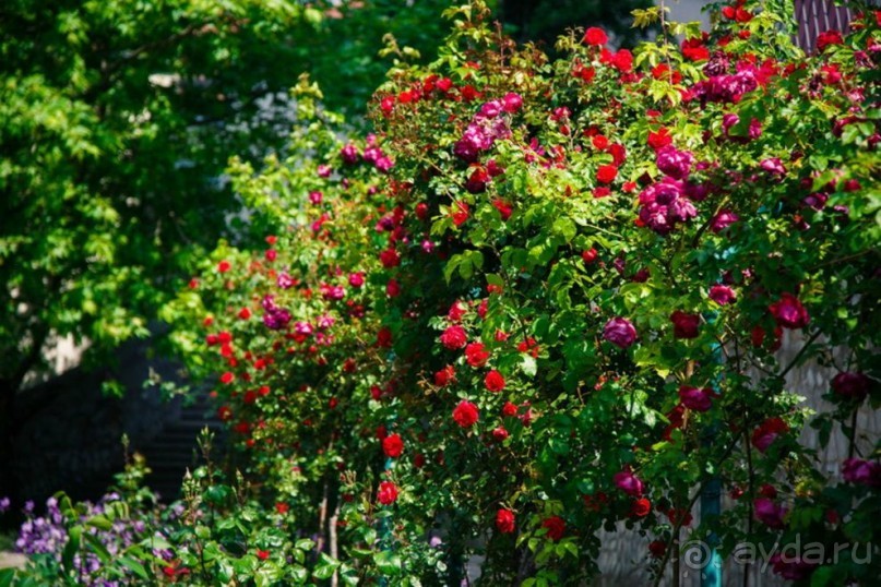 Инфраструктура пансионата "НЕВА"