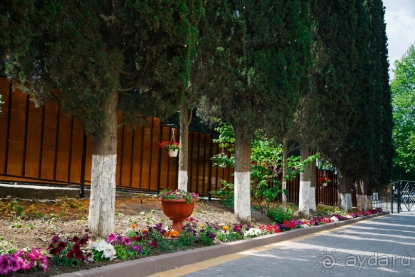 Инфраструктура пансионата "НЕВА"