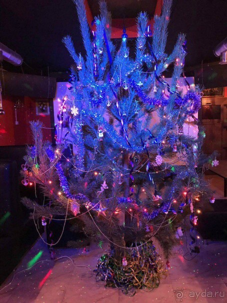 С новым годом,читатели! У нас он задался на славу!!!