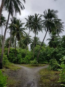  Дайвинг на Мальдивах с дайв центром "MY DIVE"