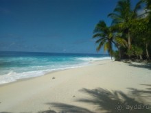  Дайвинг на Мальдивах с дайв центром "MY DIVE"