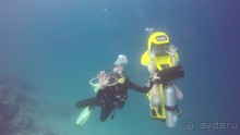  Дайвинг на Мальдивах с дайв центром "MY DIVE"