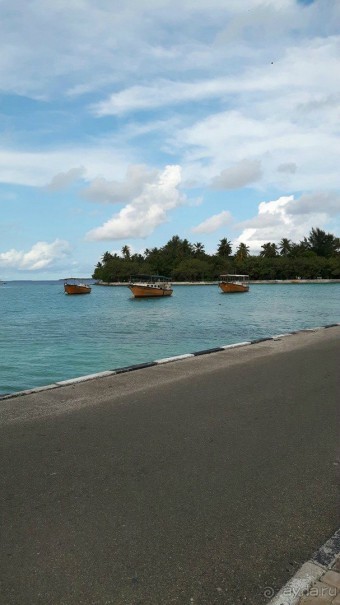  Дайвинг на Мальдивах с дайв центром "MY DIVE"