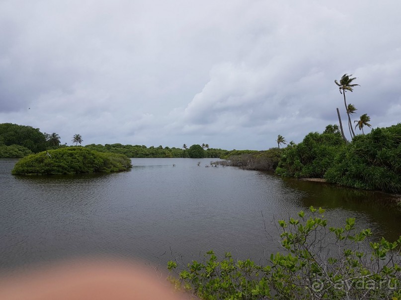  Дайвинг на Мальдивах с дайв центром "MY DIVE"