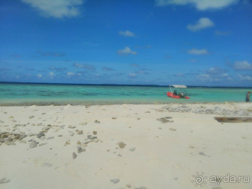  Дайвинг на Мальдивах с дайв центром "MY DIVE"