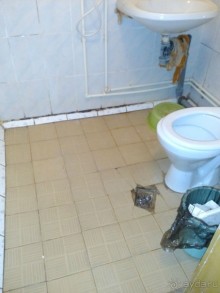 Разочарование.