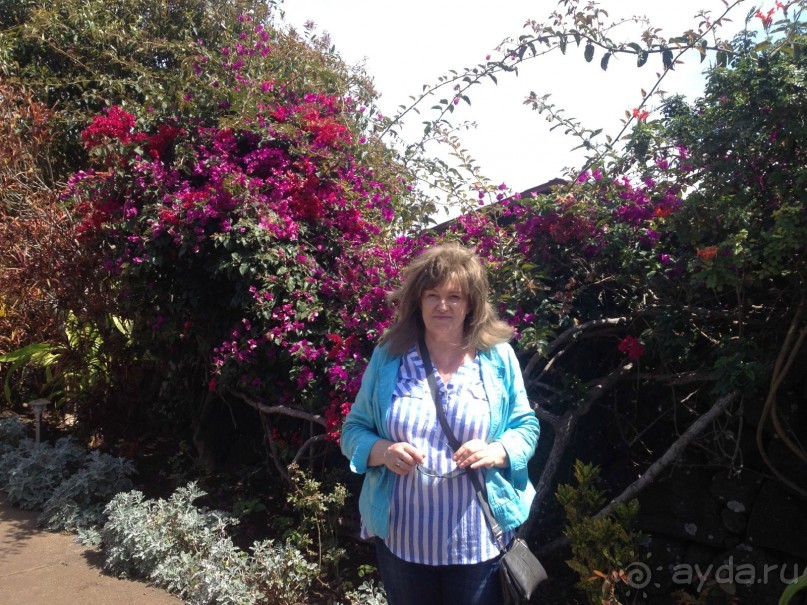 Конечно, не 4 звезды, но уютно и приветливо...