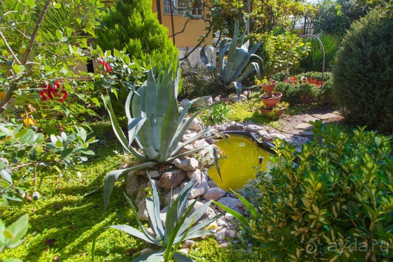 фото Гостевой дом Приморье