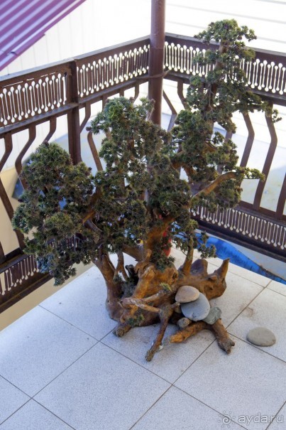 фото Гостевой дом Приморье