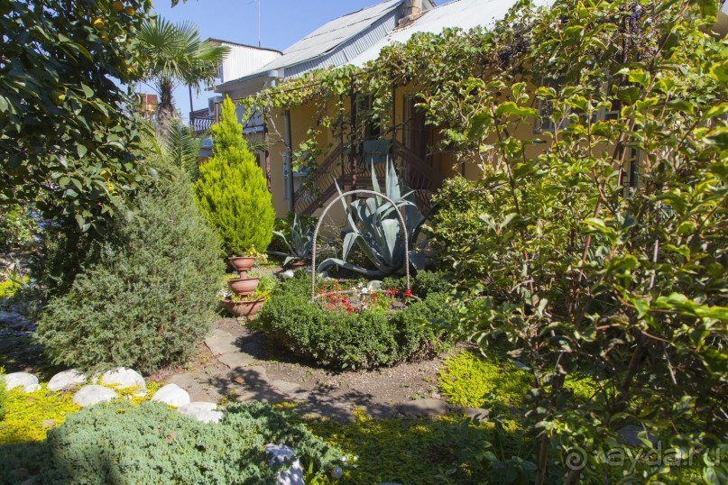 фото Гостевой дом Приморье