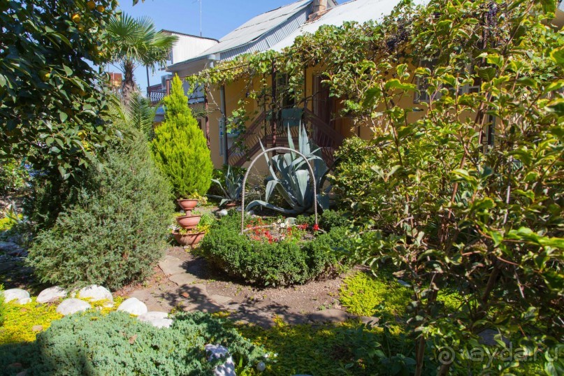 фото Гостевой дом Приморье