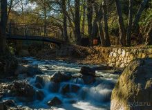 Горный Кипр