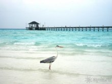 фото Holiday Island Resort